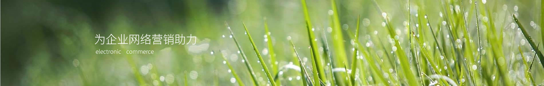 ĳ޹˾